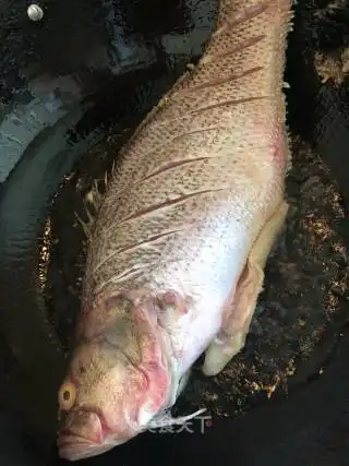干烧鲈鱼独家