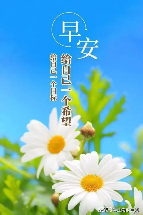 早安心语简短的一句话心灵鸡汤挑句喜欢的做签名吧