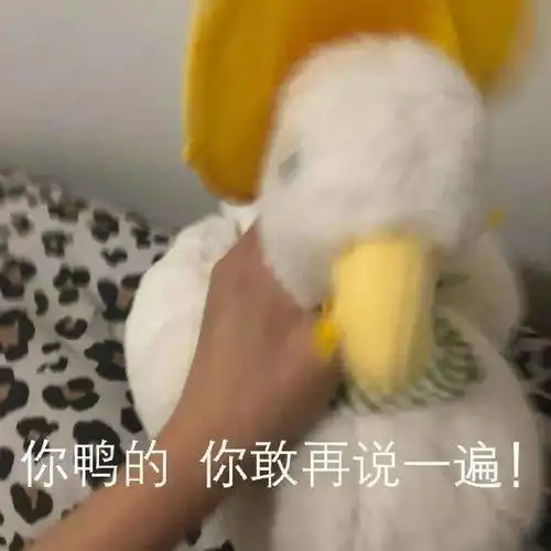 表情包动图热门表情包大全