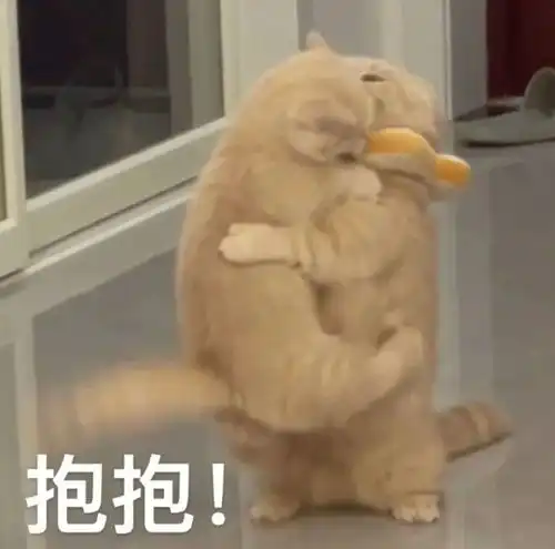 小可爱专用表情包