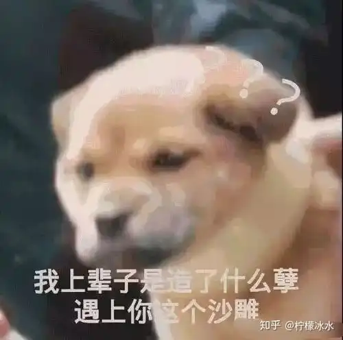 如果你是甜文中的恶毒女配你该怎么办