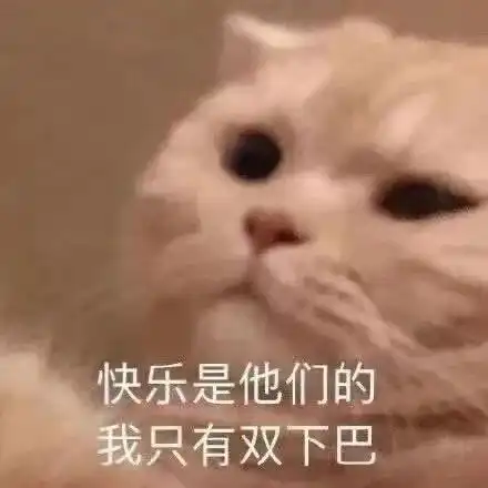 今日份表情包记在小本本上