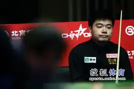 丁俊晖超级逆转晋级次轮将战亨德利表情百变吐舌秀可爱