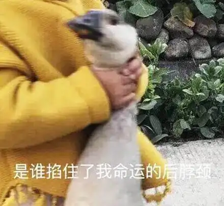 为了相亲早结束,相亲对象把她对象都带来了