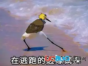 在违法的边缘试探系系列表情包大全合集