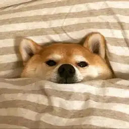 情侣头像不远万里只为你
