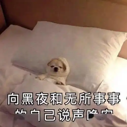 为什么大学生失眠成了常态