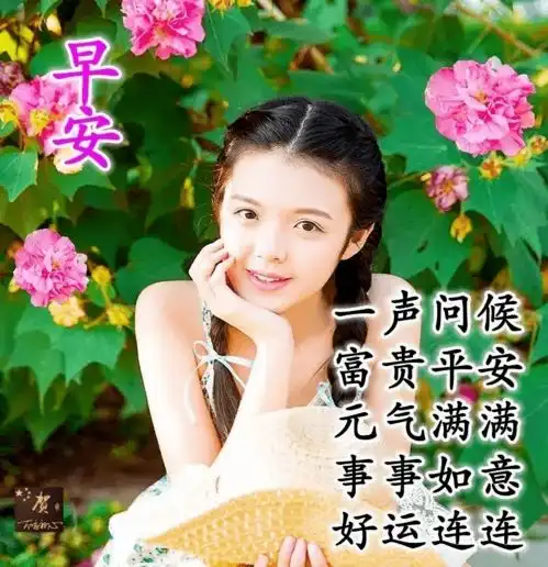 6张最新夏日早上好问候美女动画表情图片美女早安问候祝福语图片精选