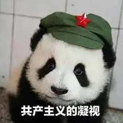 方言斗技老师有严重的口音是一种什么样的体验