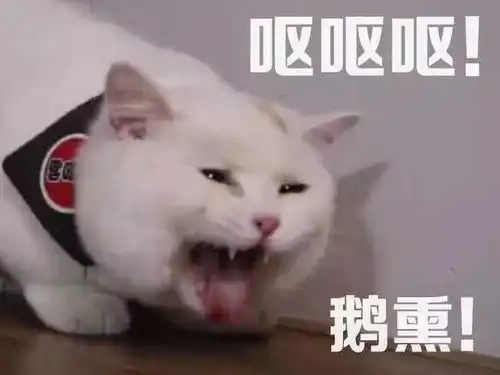 有哪些珍藏许久的表情包