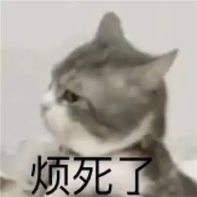 2019最新整理微信万能表情包