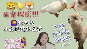 干货大学生兼职指南家教助教自媒体客服经济独立暑期兼职