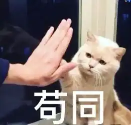好物比纯棉更透气比亚麻更柔软这样的神仙四件套真的存在