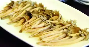 牛300元斤的增城荔枝菌可人工种植了