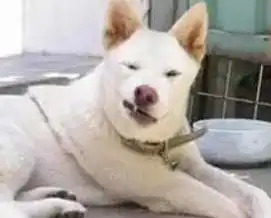 装修公司表情图,哈哈哈哈哈哈哈哈哈哈