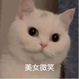 超可爱的女生聊天表情包