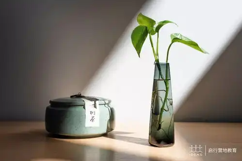 送给孩子们的开学礼物一座城市中的营地