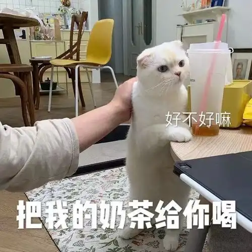 表情包干饭为什么不叫我