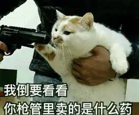 寝室不让养猫没事,可以云养猫啊
