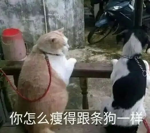 原来c罗的原名是李宝贵