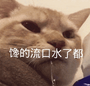 近期热图进来收图