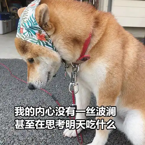 七夕了茶几有谁收到告白啦