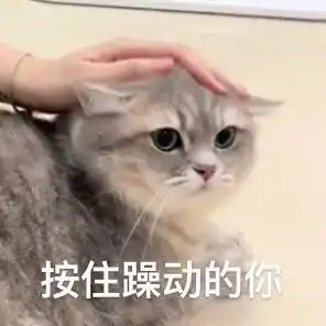 对不起,是我草率了第220期喵表情