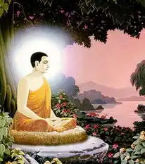 佛学问答年轻人对禅密感兴趣对净土法门漠然为什么