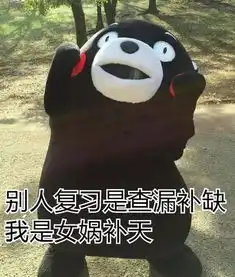 四六级,请你雨露均沾