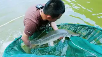 泰国钓鱼场埃克索巨物公园钓大鱼钓巨物