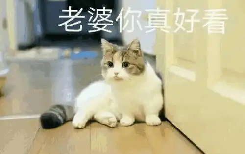 十条段子爱情这种事,谁认真谁输