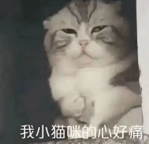 三个人的爱情还能这么开心...救命眼要瞎了...