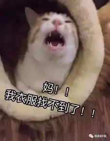 e句话头条宋喆又出现了,这次是买豪宅
