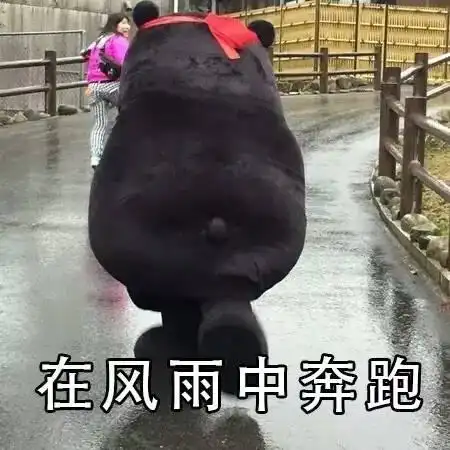 您有一份情人节单身狗定制表情包请查收