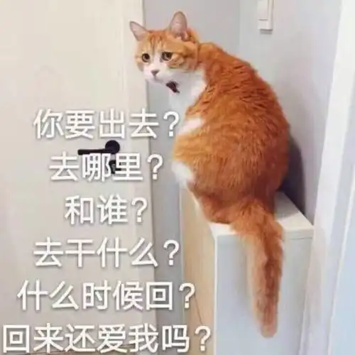 笑话十条一边是我老婆,一边是我儿子,你说我该向着谁呢