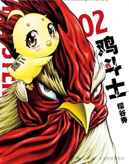 超燃的动物漫画社会我鸡哥,人狠话不多