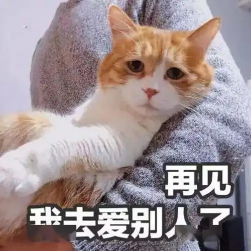父亲与怀孕家教住主卧,我与母亲住次卧18岁女孩出庭指证父亲