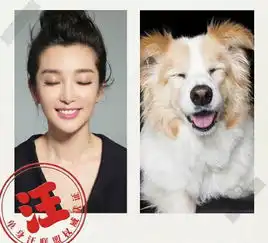 女神经李冰冰头顶乱发坐高铁愁嫁光棍节跟狗过