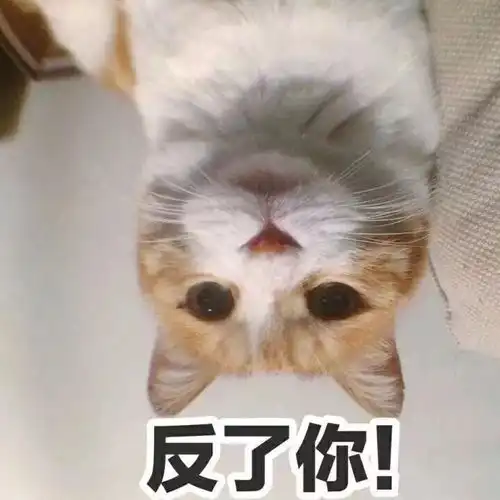 他走过来朝我搭讪道你不冷吗后面的裙子没放下来