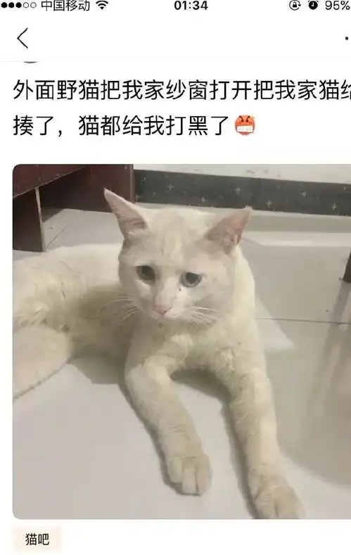 爆笑gif图小哥架势够了,就是差点实力