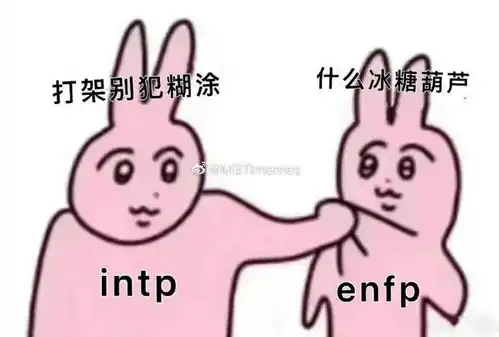 信mbti的人贡献了今年一半的表情包