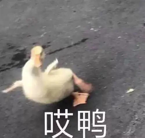 e句话看天下丨解约之后,歌坛再无邓紫棋