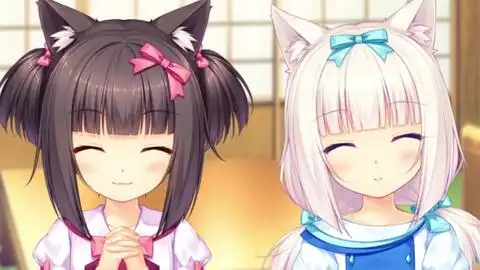 幼年巧克力香草把我萌出血小板丨nekoparaextra