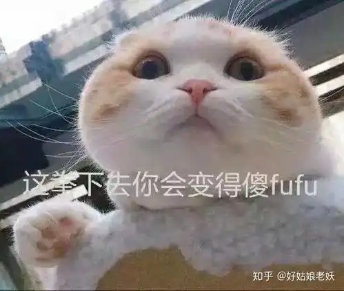 阿娇,你结婚真是太亏了