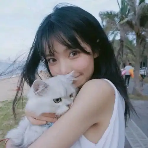 情头七夕换上情头吧