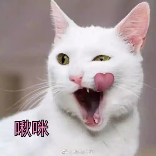 新栏目小孩很忙即将录制赶紧来看白羽王乐乐怎么带娃的