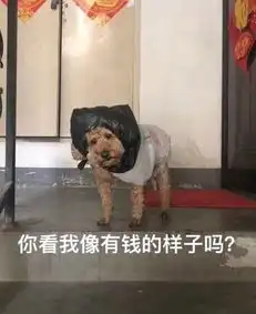 爆笑gif趣图兄弟呀你在作死的边缘疯狂试探哈