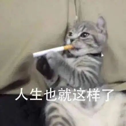 你若安好那还得了丨第146期喵表情