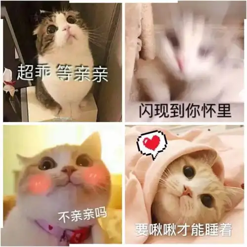 讲真,会卖萌的女生真可怕