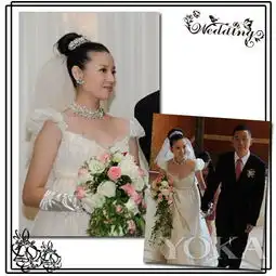 董洁谢娜李小璐郭晶晶女明星奢华婚纱大比拼1时尚光明网